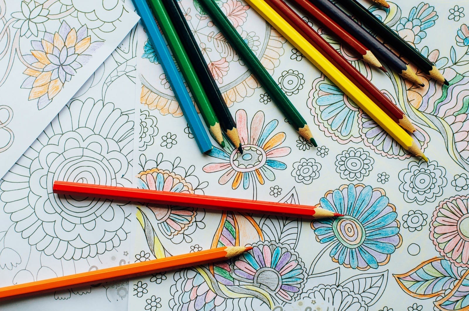 Adult Coloring Book w/ Colored Pencils