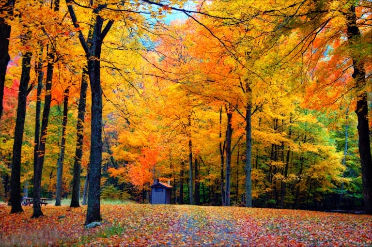 Enjoying the beautiful colors is a great fall activity for seniors