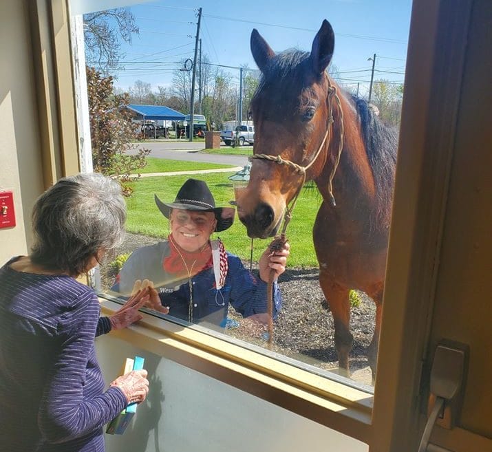 friendly horse visiting residents
