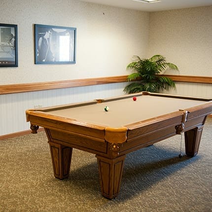 Coventry Meadows Pool Table